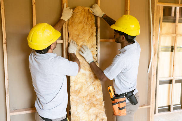 Types of Insulation We Offer in Sells, AZ